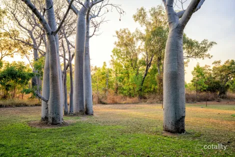 Lot 36 Weaber Plain Rd, Kununurra, WA 6743