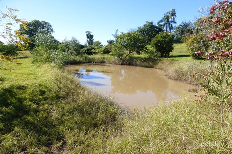Property photo of 17 Palmer Court The Dawn QLD 4570