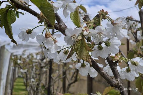 135 Giacomettis Lane, Coomoora, VIC 3461