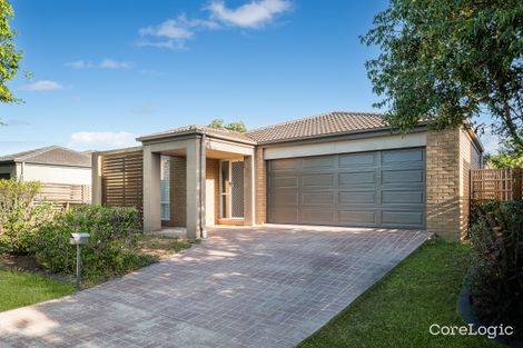 Property photo of 5 Cyperus Crescent Carseldine QLD 4034