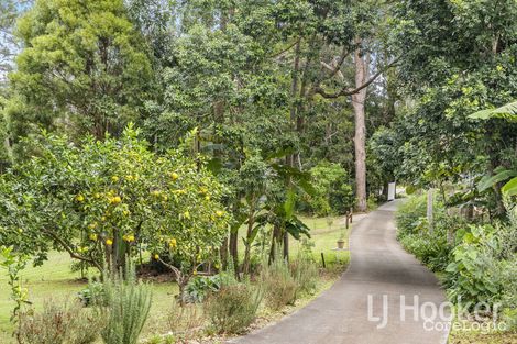 Property photo of 1-3 Knoll Road Tamborine Mountain QLD 4272