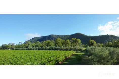 123 Milbrodale Rd, Milbrodale, NSW 2330