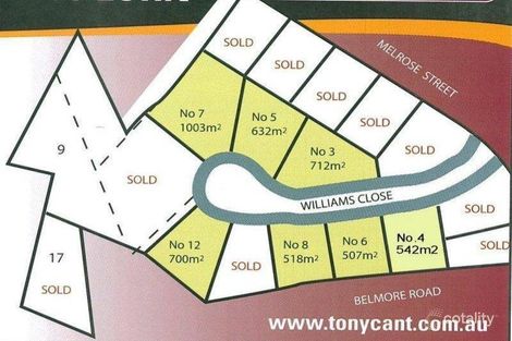 Property photo of 12 Williams Close Lorn NSW 2320