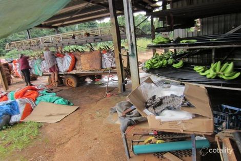 Property photo of 289 Eubenangee Road Eubenangee QLD 4860