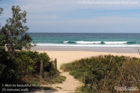 Property photo of 16 Yarrawonga Drive Mollymook Beach NSW 2539