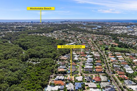 Property photo of 3 Gourami Court Mountain Creek QLD 4557