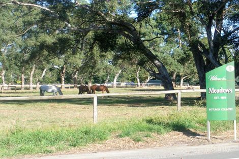 Property photo of 4 Burley Street Meadows SA 5201