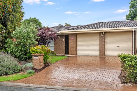 Property photo of 7 Tyrone Court Wynn Vale SA 5127