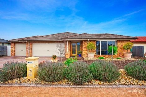 58 Henry Sutton Cct, Dunlop, ACT 2615