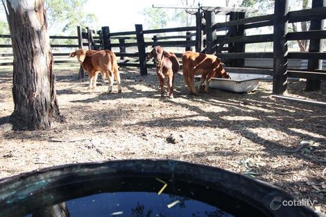 Property photo of 29 Kelly Road Spring Creek QLD 4343