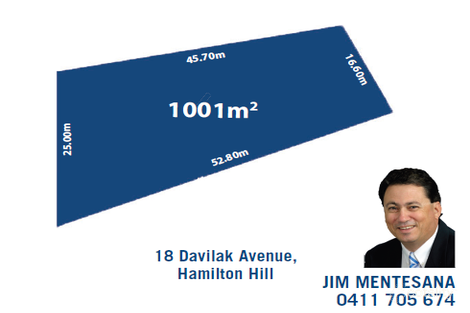 18 Davilak Ave, Hamilton Hill, WA 6163