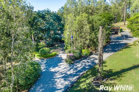 Property photo of 5 Frigo Court Bunya QLD 4055