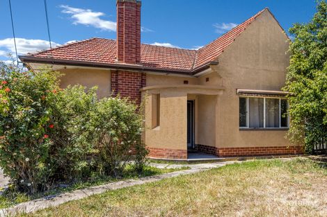 Property photo of 19 Frobisher Avenue Flinders Park SA 5025