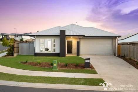 20 Torres Way, Spring Mountain, QLD 4300