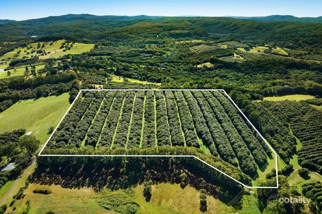 548 Dorroughby Rd, Dorroughby, NSW 2480