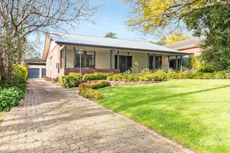 Property photo of 10 Purnana Avenue St Georges SA 5064