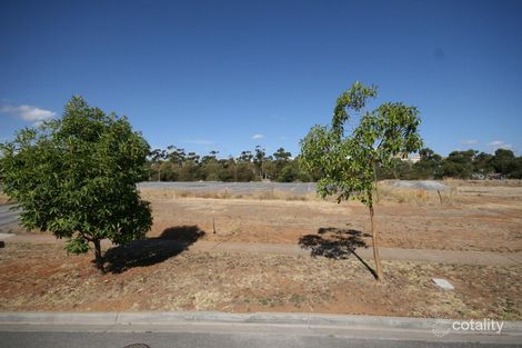 3 Laffer Dr, Bedford Park, SA 5042