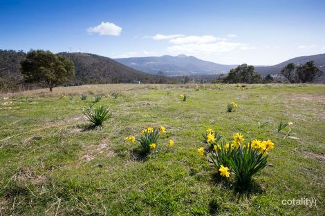 77 Glen Dhu Rd, Molesworth, TAS 7140