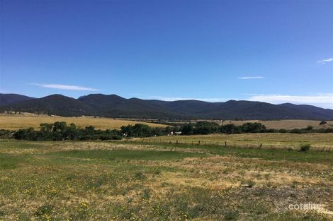 41 Falmouth St, Avoca, TAS 7213