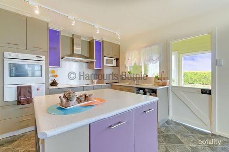 Property photo of 124 West Mooreville Road East Cam TAS 7321