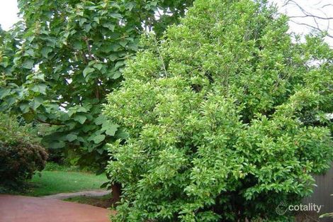 Property photo of 13 Ernest Street Mittagong NSW 2575