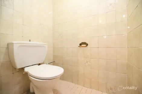 Property photo of 159 Hector Street Sefton NSW 2162