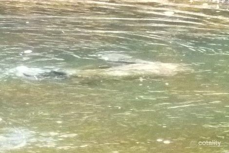 Property photo of 12 Collins Way Tugrah TAS 7310