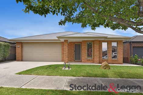 Property photo of 46 Cockatiel Circuit Craigieburn VIC 3064