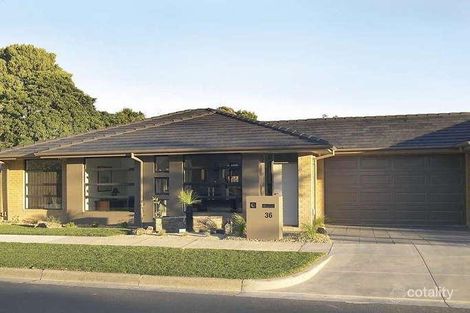 Property photo of 36 Jacqueline Road Mount Waverley VIC 3149