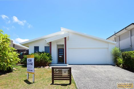 15 Riflebird Pl, Mountain Creek, QLD 4557