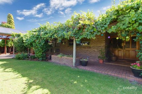 Property photo of 20 Whitbread Avenue Klemzig SA 5087