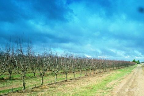 Property photo of 545 Old Dookie Road Shepparton East VIC 3631