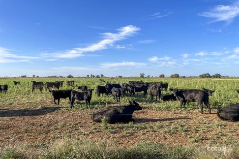 1775 Cosgrove Rd, Invergordon, VIC 3636