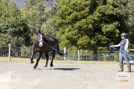 Property photo of 244 Umfrevilles Road Kaoota TAS 7150