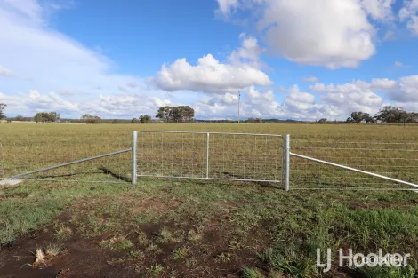 411 Auburn Vale Rd, Inverell, NSW 2360