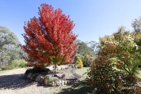 Property photo of 726 Willow Glen Road Lower Boro NSW 2580