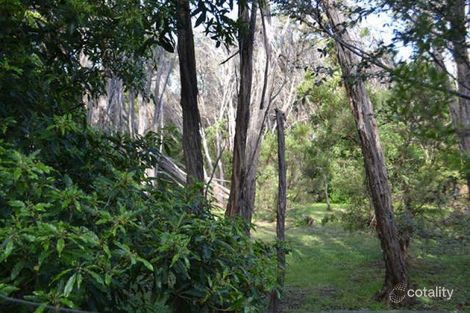 Property photo of 223 Melbourne Road Rye VIC 3941