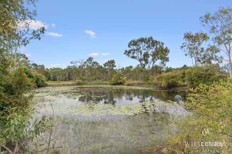 Property photo of 17 Thunderbolt Drive Oak Valley QLD 4811