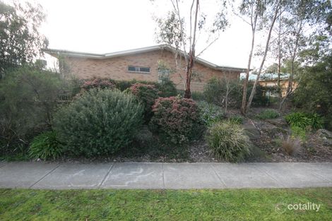 34/215-217 Wantirna Rd, Ringwood, VIC 3134