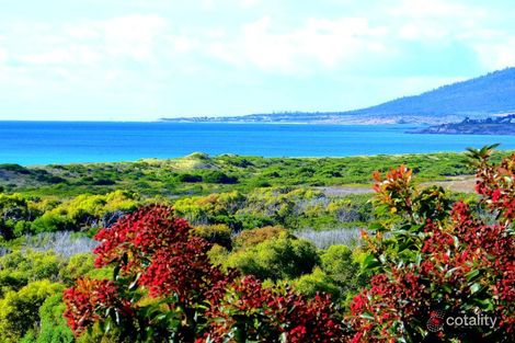 200 Scamander Ave, Scamander, TAS 7215