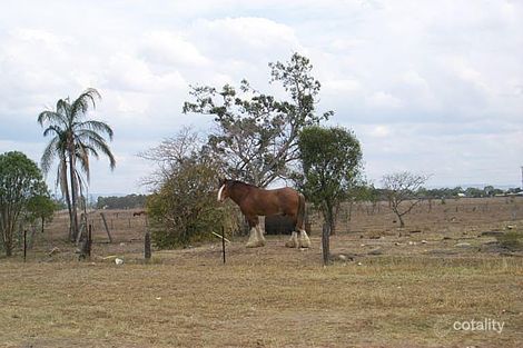 364 George St, Depot Hill, QLD 4700