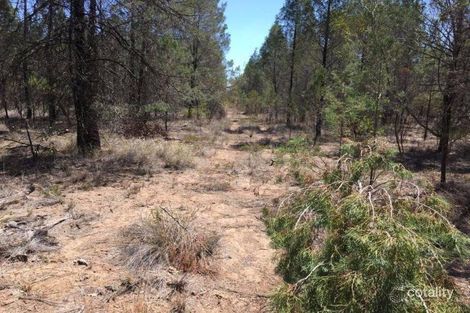 18 Males Dr, Tara, QLD 4421