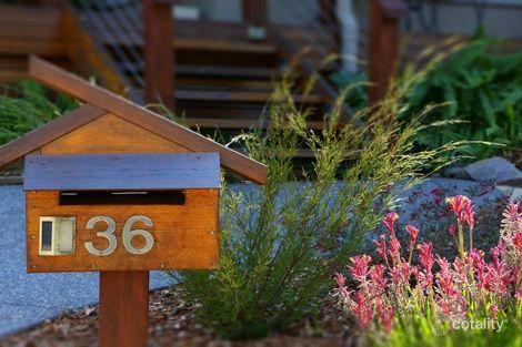 36 Nightshade Cres, Murrays Beach, NSW 2281