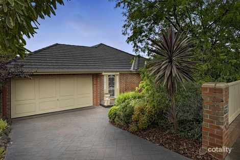 Property photo of 17 Woodhouse Grove Box Hill North VIC 3129