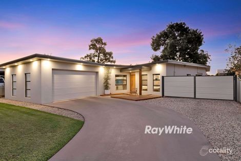 Property photo of 575 Karadoc Avenue Irymple VIC 3498