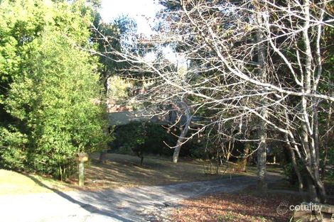 504 Terrigal Dr, Terrigal, NSW 2260