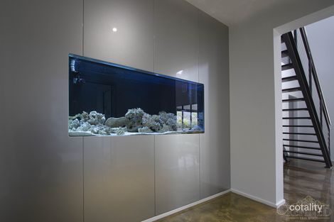Property photo of 7 Tim Place Athelstone SA 5076