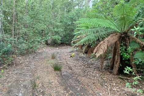 455 Mountain Rd, Lilydale, TAS 7268