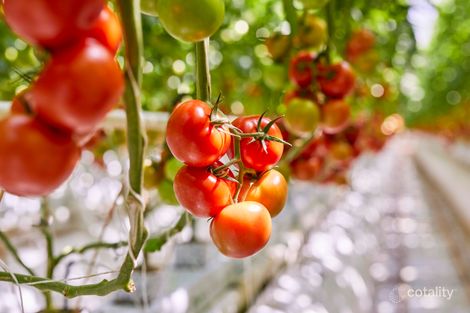 318 Copelands Rd, Warragul, VIC 3820