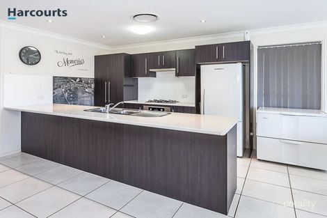 Property photo of 38 Waterlilly Court Rothwell QLD 4022